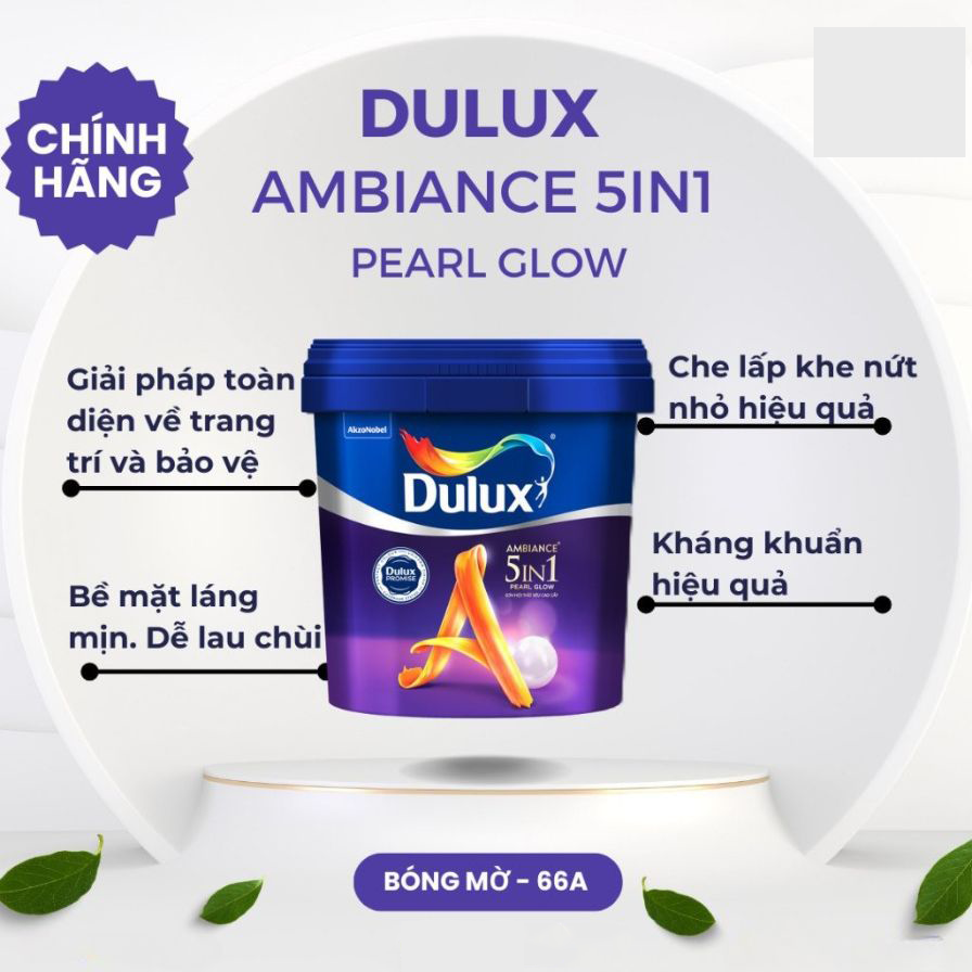 dulux-ambiance-5in1-66a