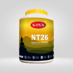 Sơn nhũ vàng Kova NT26