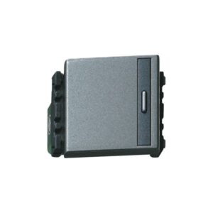 Công Tắc Panasonic REFINA WEG5521 Xám